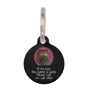Placa Para Mascotas Si estoy perdido, nombre y detalles de contacto