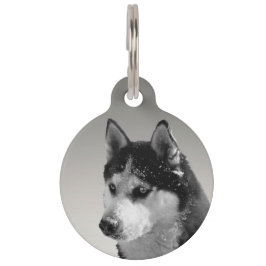Placa Para Mascotas Siberian Husky Huskybild Haustiermarke
