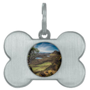 Placa Para Mascotas ¡Siga sus sueños!