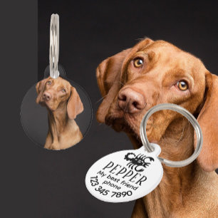 Placa Para Mascotas Signo zodiacal con foto personalizada moderno