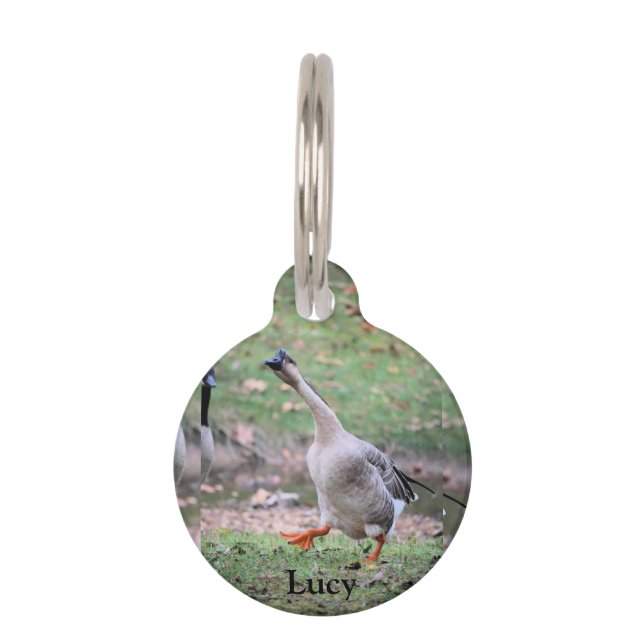 Placa Para Mascotas Silly Goose (Anverso)