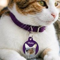 Silueta de gato morada con foto personalizada nomb