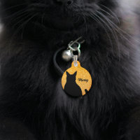 Silueta de gato negro sobre brillo naranja festivo