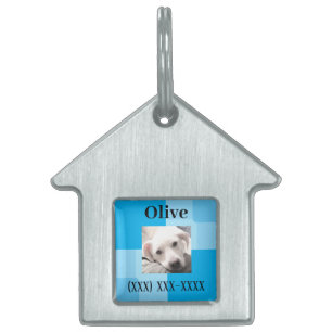 Placa Para Mascotas Simple y Lindo Nombre de Foto y Número de Teléfono