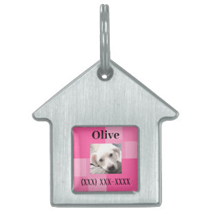 Placa Para Mascotas Simple y Lindo Nombre y Número de Teléfono Rosa