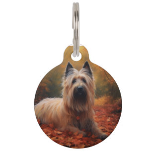 Placa Para Mascotas Skye Terrier en otoño inspira caída de hojas