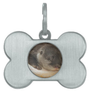 Placa Para Mascotas Sleepy Otter