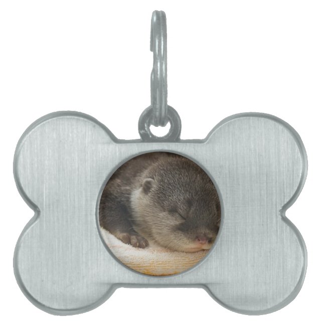Placa Para Mascotas Sleepy Otter (Frente)