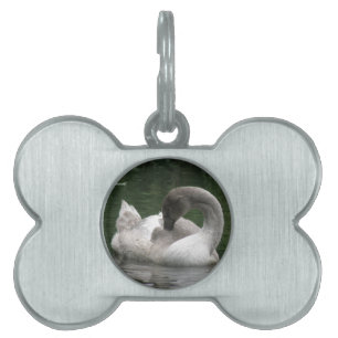 Placa Para Mascotas Sleepy Swan Pet Tag