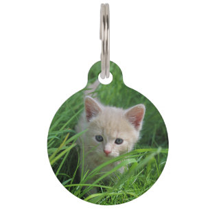 Placa Para Mascotas Sobrecarga de ternura