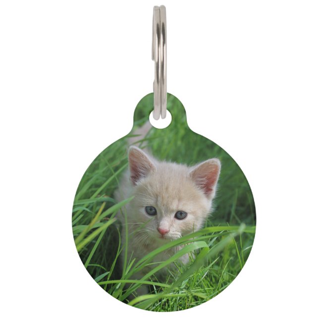 Placa Para Mascotas Sobrecarga de ternura (Anverso)