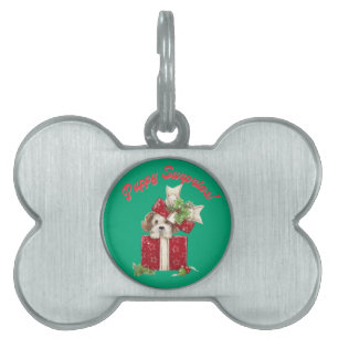 Placa Para Mascotas Sorpresa de vacaciones en caja de regalo para navi
