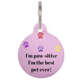 Placa Para Mascotas Soy activo y soy el mejor mascota de la historia d