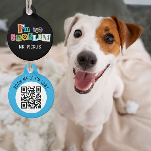 Placa Para Mascotas Soy el Collage de problemas