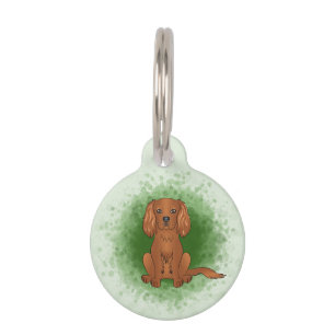 Placa Para Mascotas Spaniel Cavalier King Charles Rubí Sobre Verde