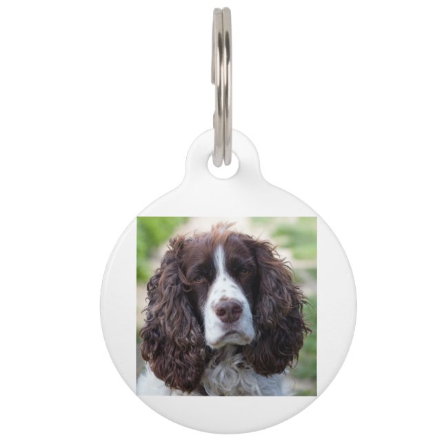 Placa Para Mascotas spaniel.png (Anverso)