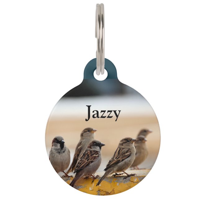 Placa Para Mascotas Sparrows (Anverso)