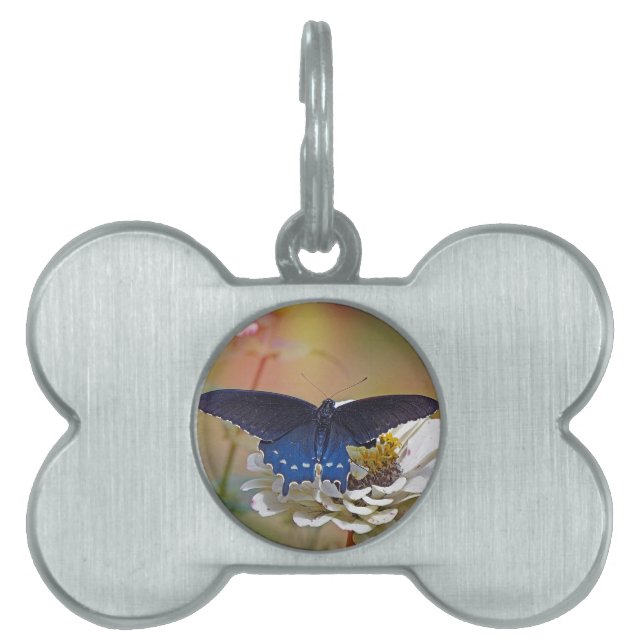Placa Para Mascotas Spicebush Swallowtail (Frente)