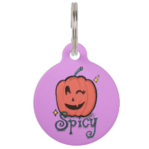 Placa Para Mascotas Spicy Pumpkin Spice