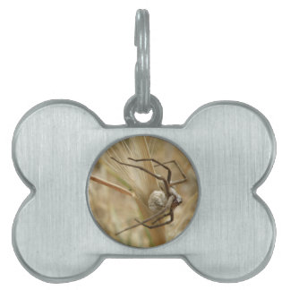 Placa Para Mascotas Spider and Egg Sac Pet Tag
