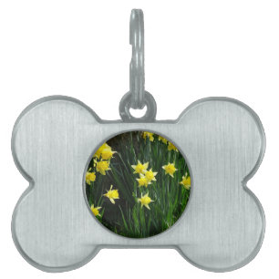 Placa Para Mascotas Spring Daffodils