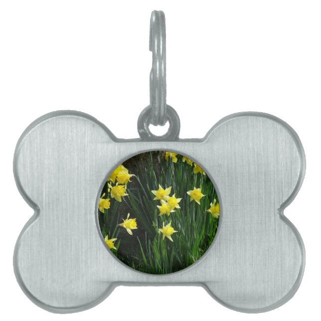 Placa Para Mascotas Spring Daffodils (Frente)