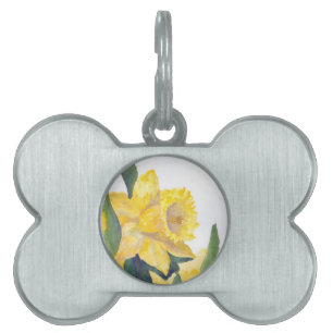 Placa Para Mascotas Spring Daffodils