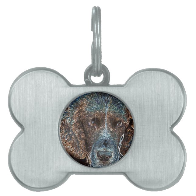 Placa Para Mascotas Springer inglesa (Frente)