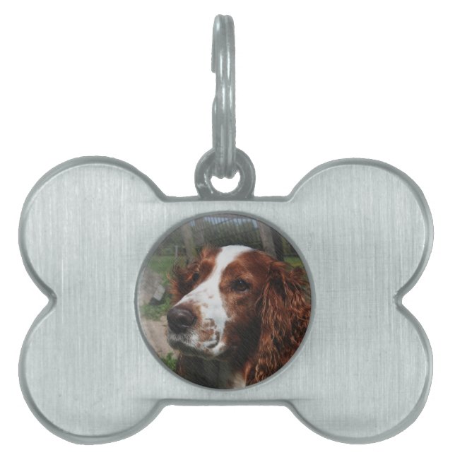 Placa Para Mascotas Springer Spaniel Dog Art (Frente)
