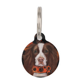 Placa Para Mascotas Springer Spaniel Inglés