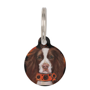 Placa Para Mascotas Springer Spaniel Inglés