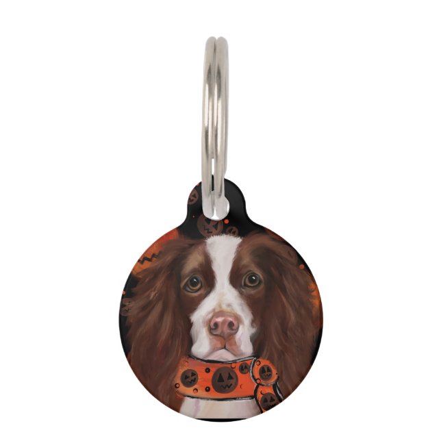 Placa Para Mascotas Springer Spaniel Inglés        (Anverso)