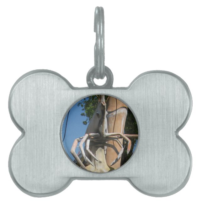 Placa Para Mascotas Sr. Crustacean AKA Cabeza de langosta ... Infierno (Frente)