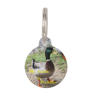 Placa Para Mascotas Sr. Duck