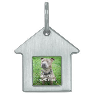 Placa Para Mascotas Staffordshire Bull Terrier Atento, 