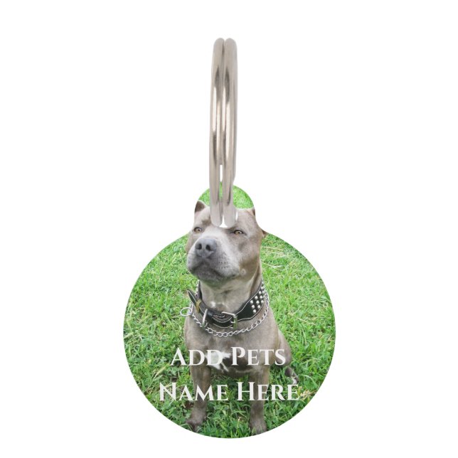 Placa Para Mascotas Staffordshire Bull Terrier Atento,  (Anverso)