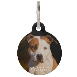 Placa Para Mascotas Staffordshire Terrier americano