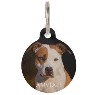 Placa Para Mascotas Staffordshire Terrier americano