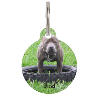 Placa Para Mascotas Staffy con logo de nombre Diesel,