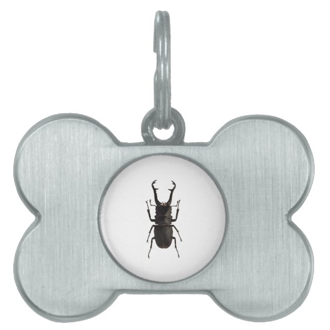 Placa Para Mascotas Stag Beetle (Frente)