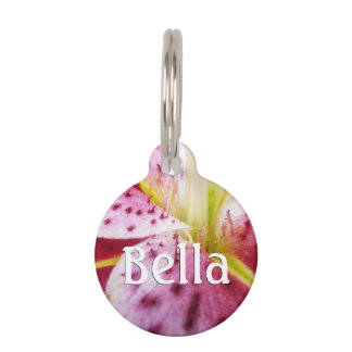 Placa Para Mascotas Stargazer Lily Bright Magenta Floral