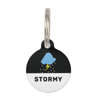 Placa Para Mascotas Stormy Lightning
