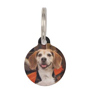 Placa Para Mascotas Su propia Mascota foto mamá me extraña Personaliza