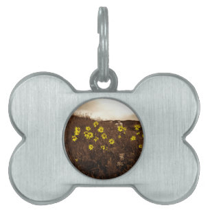 Placa Para Mascotas Sunflower