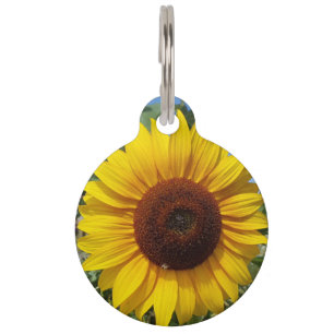 Placa Para Mascotas Sunny Sunflower