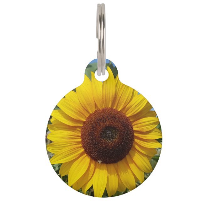 Placa Para Mascotas Sunny Sunflower (Anverso)