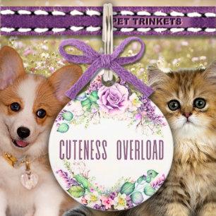 Placa Para Mascotas Supresión de cutenes Rosas de lavanda Floral