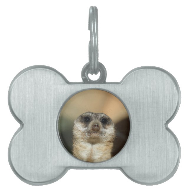 Placa Para Mascotas Suricata_2015_0501 (Frente)