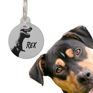 Placa Para Mascotas T-Rex Personalizado