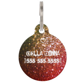 Placa Para Mascotas Tagger rojo